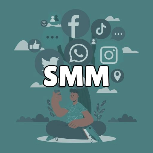 best digital marketer in palakkad